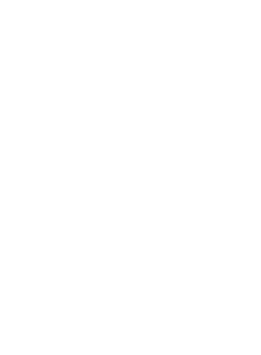 Logo Luis Tamani